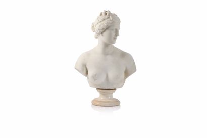 null Buste de Vénus d’après l’Antique. XIXe siècle. Marbre H : 64 cm 