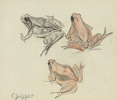 null Gaston SUISSE (1896-1988) Grenouilles rousses. Sanguine et crayon gras. Signé...