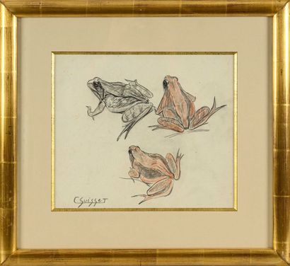 null Gaston SUISSE (1896-1988) Grenouilles rousses. Sanguine et crayon gras. Signé...