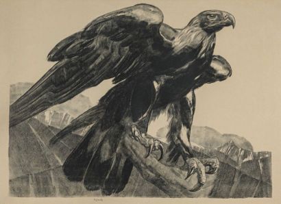 null Paul JOUVE (1878-1973) Aigle Impérial. 1929. Lithographie originale sur Velin...