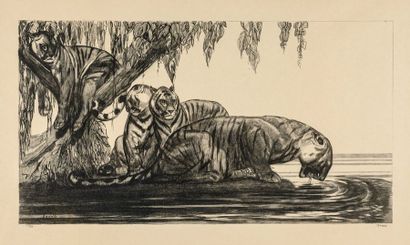 null Paul JOUVE (1878-1973) Les tigres s’abreuvant. 1937. Lithographie originale...