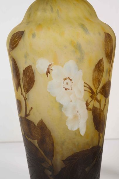null Daum « Cognassiers du Japon » Vase de forme conique à col retourné en verre...