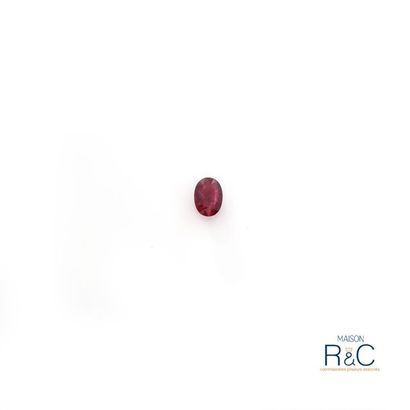 null Rubis de forme ovale.

Poids : 2,44 carats.

Couleur : rouge.

Certificat Carat...