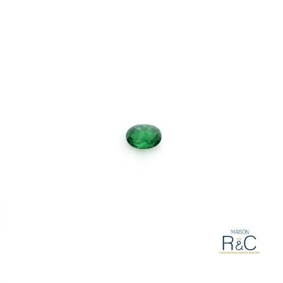 null Tsavorite Garnet de forme ovale taillée en facette. 

Poids : 5,84 carats.

Couleur...