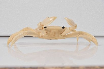 null JAPON, XXe siècle

Crabe articulé en ivoire marin, aux yeux mobiles.

L : 20...