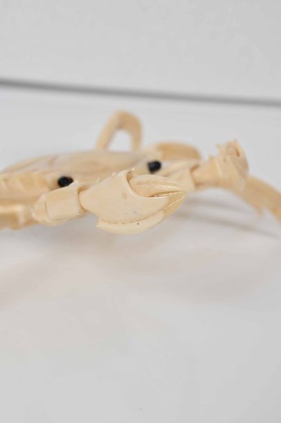 null JAPON, XXe siècle

Crabe articulé en ivoire marin, aux yeux mobiles.

L : 20...
