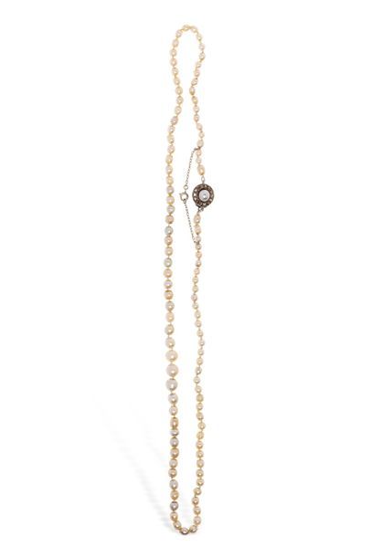 null Collier de perles fines, le fermoir en or gris 18K (750/1000) serti d’une perle...