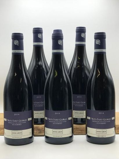 null 6 bouteilles Nuits-Saint-Georges "Les Damodes" Anne Gros 2014 