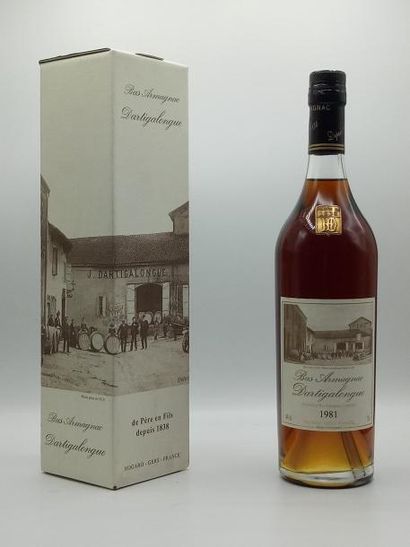 null 1 bouteille Armagnac Dartidalongue 1981 