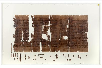 EGYPTE 
Papyrus Tamerit 1. Exceptional papyrus written in red and black ink of seventeen...