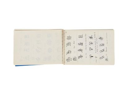 MICHAUX HENRI (1899 - 1984) 
CARNET MANUSCRIT ET DESSINS ORIGINAUX.
Circa 1969. 43...