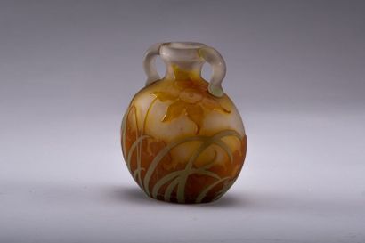 Émile GALLÉ (1846-1904)-艾米里·加利 Rare vase gourde, verre multicouche au motif de narcisse...