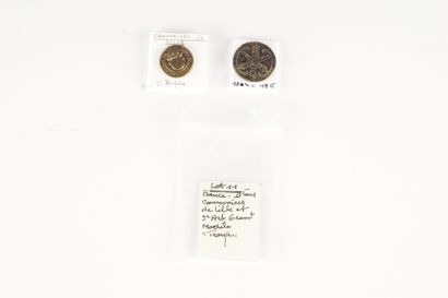 PREMIER EMPIRE Lot of two artillery buttons of the sedentary gunners of Lille and...