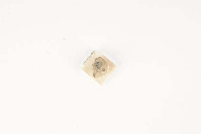 GRANDE BRETAGNE Fragment d'un bouton du 42th highland regiment of foot retrouvé sur...