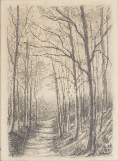 Jules RAMET (1855-1927) aka Jules Louis RAME Vue de sous bois. Dessin au crayon sur...