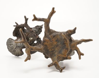 Franz BERGMANN (1861-1936) - Bronze de Vienne "Coq de bruyère sur une branche" sculpture...