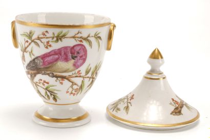 Porcelaine de Paris ou Bruxelles début XIXe Pot à sucre au motif d'une perruche tiré...