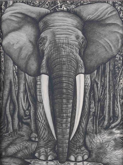Jean Baptiste TAVY NOTTON (1914-1977) Eléphant dans la jungle. Taille douce. Monogrammé...