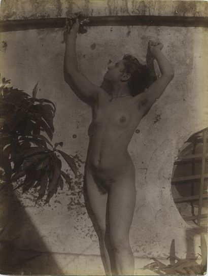 null Wilhelm von GLOEDEN (1856-1931). Nu féminin, 1890-1900. Épreuve sur papier albuminé,...