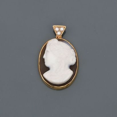 null Yellow gold pendant, 750 MM, setting a cameo on two-coloured agate, gemstone...