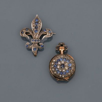 null Neck watch on its brooch, drawing a yellow gold fleur-de-lis, 750 MM, covered...