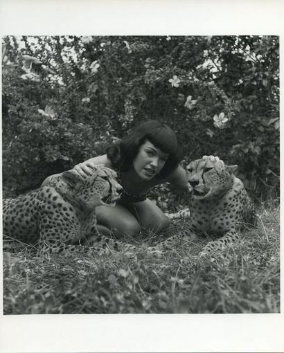 null Bunny YEAGER (1929-2014). Betty Page, nue avec deux léopards. Parc animalier...