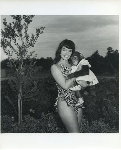 null Bunny YEAGER (1929-2014). Betty Page, en maillot léopard, avec un chimpanzé....