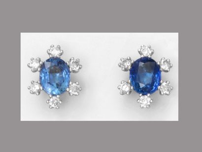 null Earrings in white gold, 750 MM, each centered by an oval sapphire surrounded...