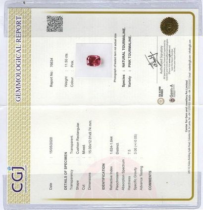 null Belle tourmaline taille " coussin - rectangulaire " pesant 11,50 carats, accompagné...