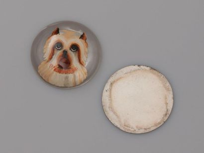 null "Fixed under glass" complete to be mounted, drawing a dog's head, white and...