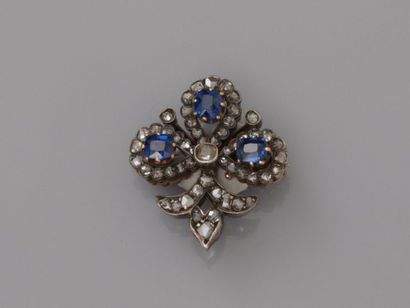 null Brooch drawing a fleur-de-lys in gold 750MM and silver 925 MM, decorated with...