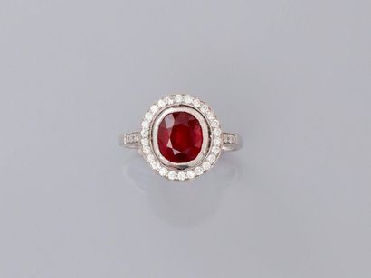 null Thin white gold ring, 750 MM, centered of an oval treated ruby finely surrounded...