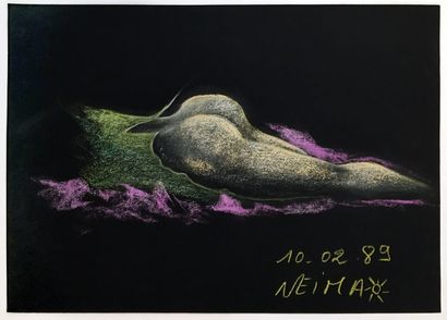 null NEIMA (born in 1957). Erotic compositions, 1989. 2 pastels on cardboard and...