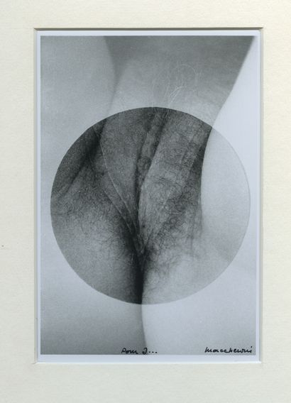 null Henri MACCHERONI (1932-2016). 284-16, l'une des 2000 photographies du sexe d’une...