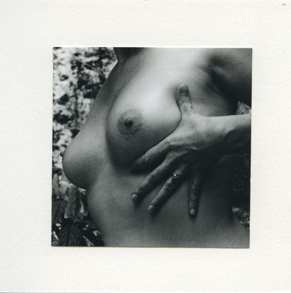 null Lucien CLERGUE - Pierre de RONSARD. Cute, let's go see if the rose, Pale Fox,...