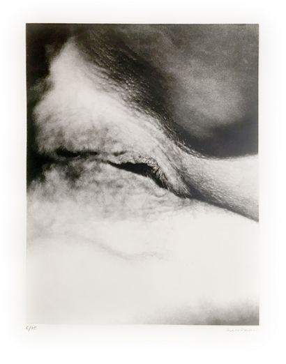 null Henri MACCHERONI (1932-2016). L'une des 2000 photographies du sexe d’une femme,...