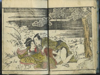 null ESTAMPES JAPONAISES. Visite chez les geishas, début du xxe siècle. 3 recueils...