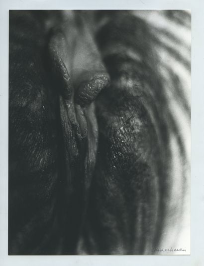 null Henri MACCHERONI (1932-2016). (177-8), l'une des 2000 photographies du sexe...