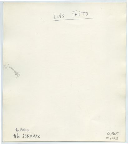 null Luis FEITO (né en 1929), peintre espagnol. Épreuve argentique d'époque, 20 x...