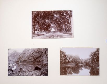 null Frank Homes (1870-1953). Ensemble de trois photographies de Tahiti : Papeete...