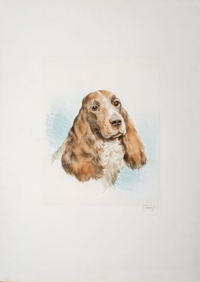 null Danchin Léon (1887-1939) 


Head of a spaniel


Etching and aquatint.


vellum


Signed...