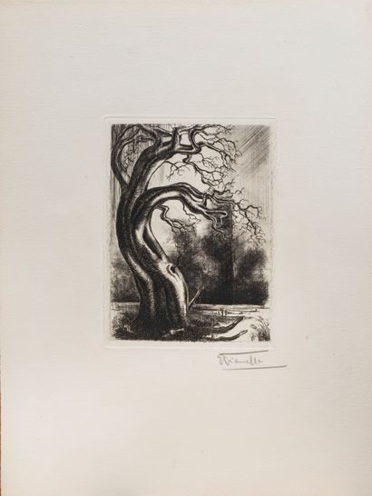 null Artiste non identifié (Wieville?)


L'arbre aux serpents, Compositions surréalistes,...
