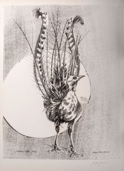 null Biboud Jacques-Antoine (1943)


L'oiseau lyre


Lithographie sur vélin d'Arches


Signée...