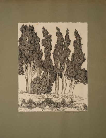 null Ribemont-Dessaignes Georges (1884-1974)


Arbres, album de 7 gravures illustrant...