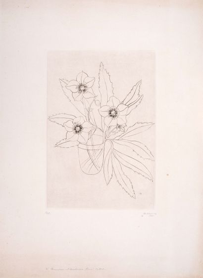 null Weemaes Margot (1909-1996)


Flowery Bouquet


Etching


Signed lower right,...