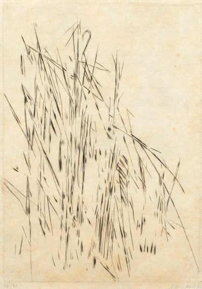 null Viera da Silva Marie-Héléna (1908-1992)


The reeds (1961)


Burin


Numbered...