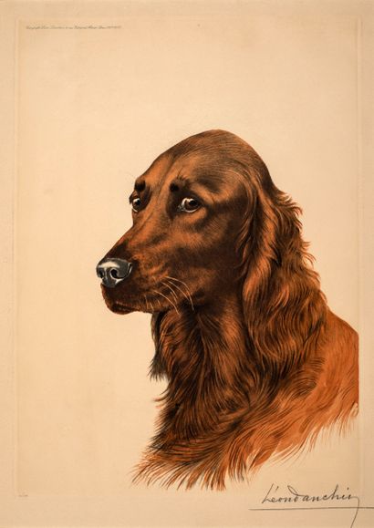 null Danchin Léon (1887-1939) 


Head of a spaniel


Etching and aquatint.


vellum


Signed...