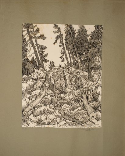 null Ribemont-Dessaignes Georges (1884-1974)


Arbres, album of 7 etchings illustrating...