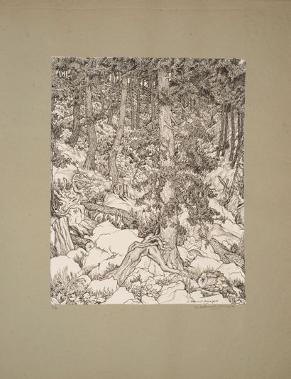 null Ribemont-Dessaignes Georges (1884-1974)


Arbres, album of 7 etchings illustrating...