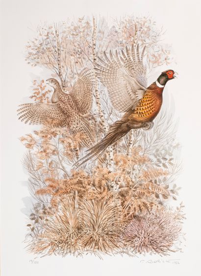 null Berille . F (1945)


Couple of pheasants


Lithograph


Signed lower right 14/125,...